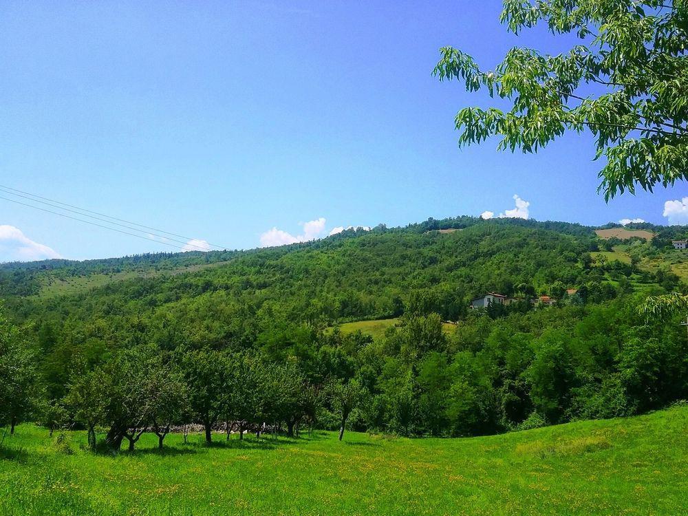 Il Mio Rifugio Guest House Gaggio Montano Екстериор снимка
