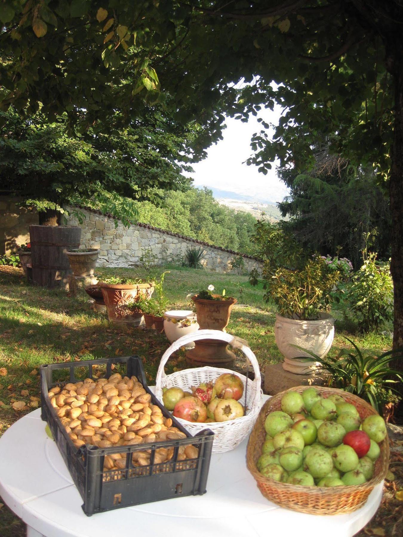 Il Mio Rifugio Guest House Gaggio Montano Екстериор снимка